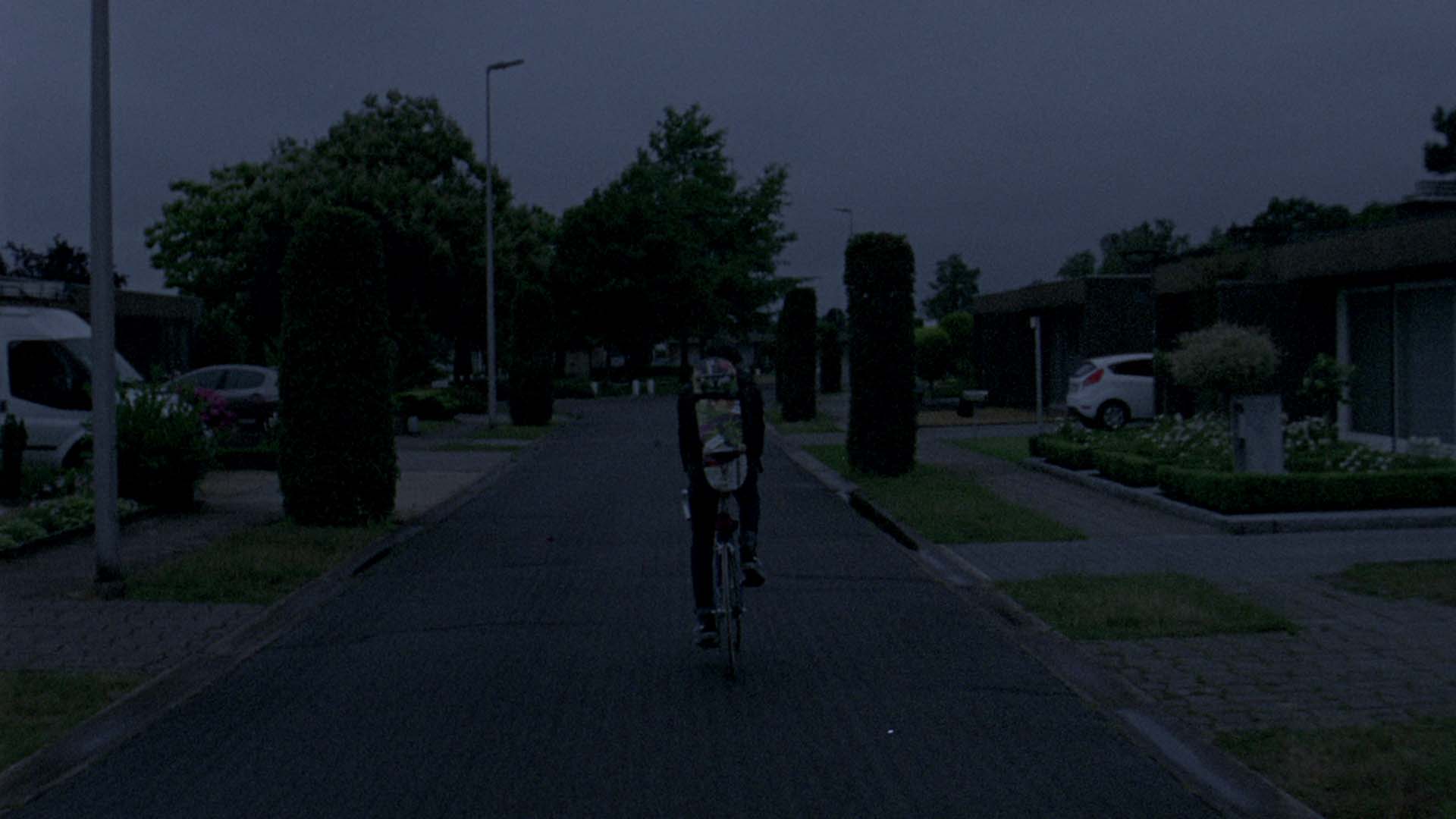 © All We Ever Wanted Was Everything (Enzo Smits, 2014)