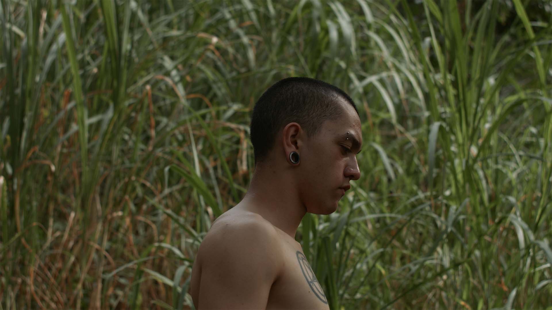 © The Jungle Knows You Better Than You Do (Juanita Onzaga, 2017)