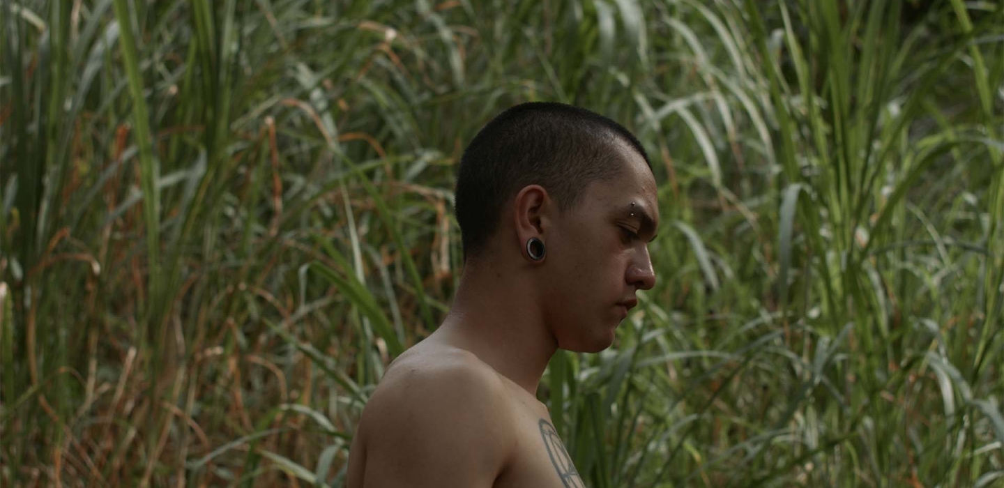 © The Jungle Knows You Better Than You Do (Juanita Onzaga, 2017)